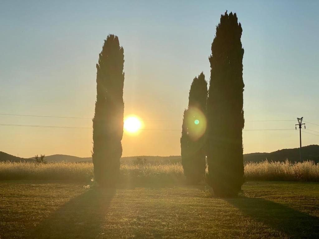 Casale Artemisia Capalbio Bed & Breakfast Exterior photo