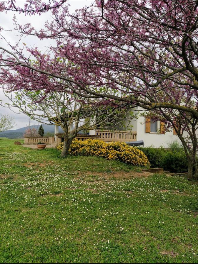 Casale Artemisia Capalbio Bed & Breakfast Exterior photo